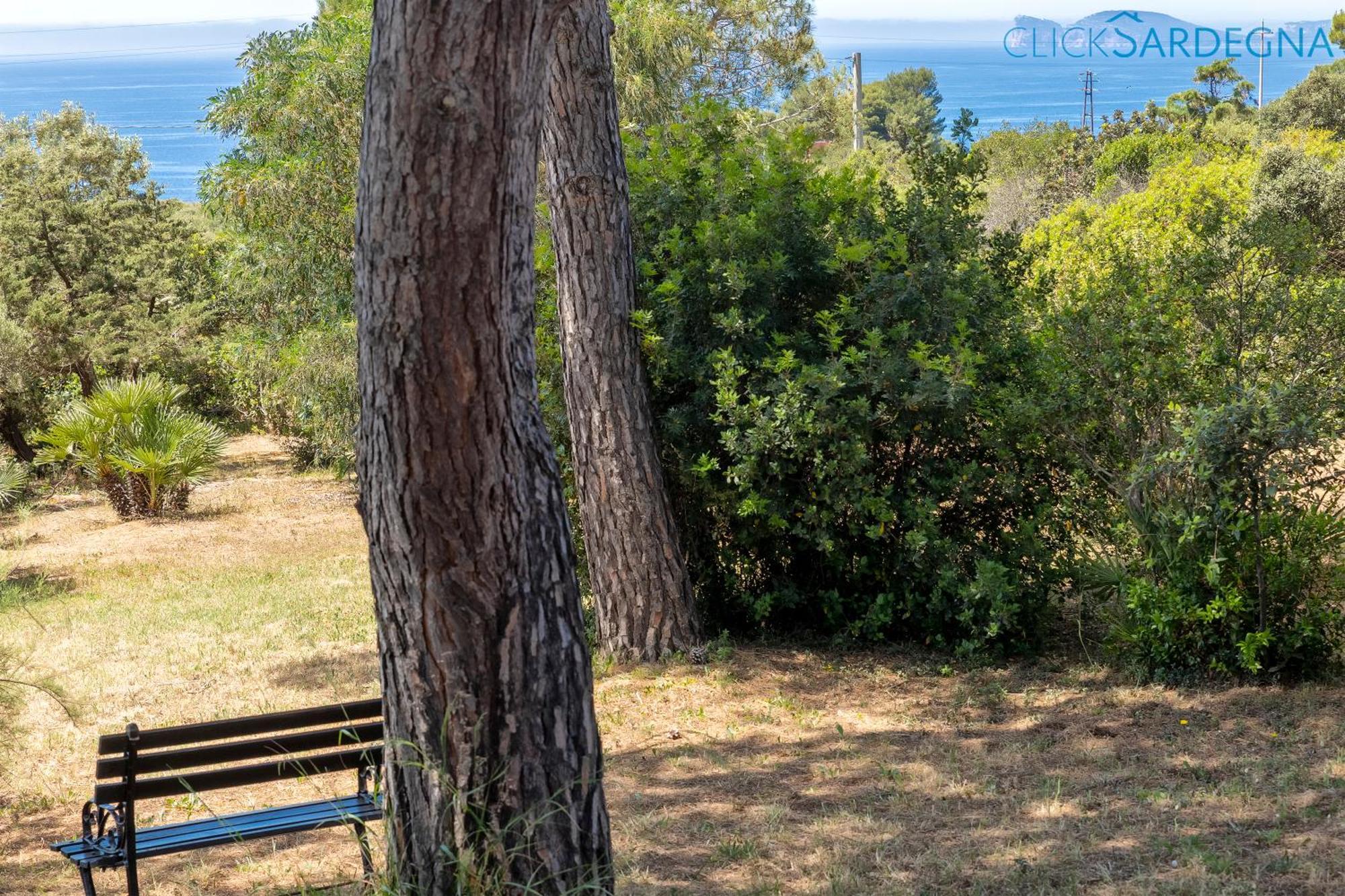 Alghero Villa Barranch con piscina vista mare per 6 persone Esterno foto